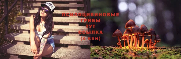 прущие крисы Козловка