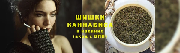 прущие крисы Козловка