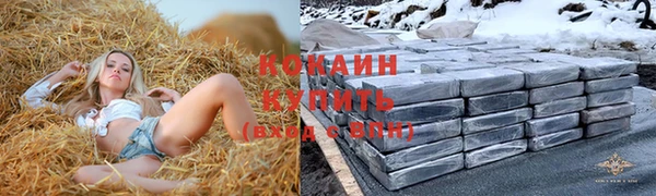 ECSTASY Кодинск